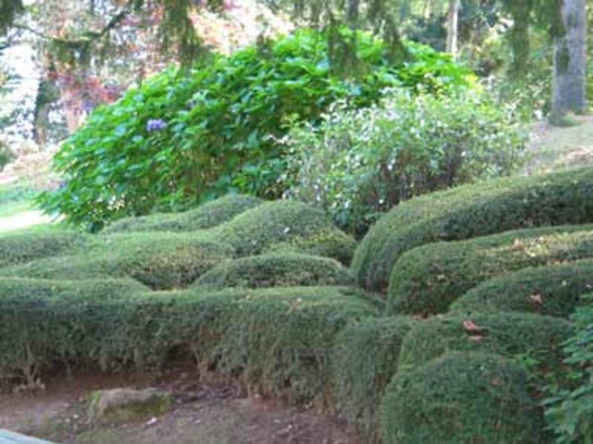 Entretien de jardin près de Rouffach et Colmar (68) Pfastatt 3